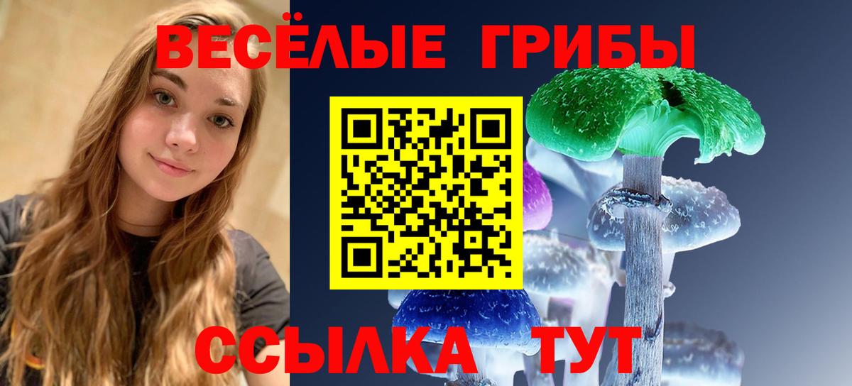 Семёнов  Псилоцибиновые грибы мухоморы  Вход с VPN 